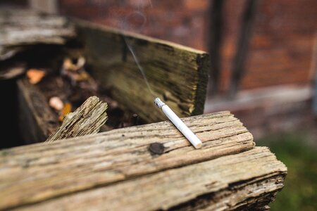 Log outdoors smoke