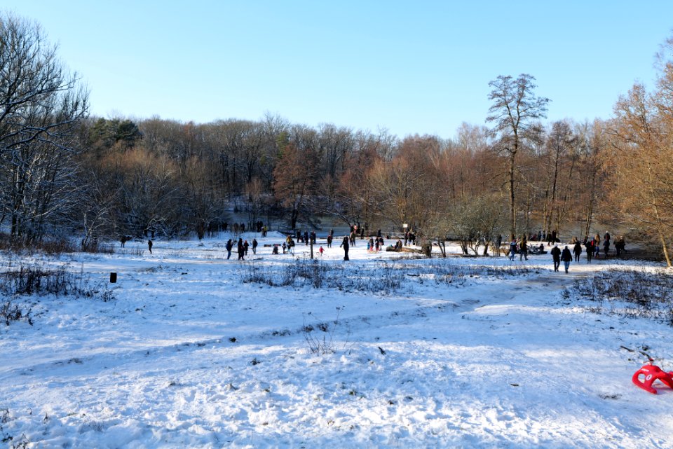 Teufelssee with snow 2021-01-31 05