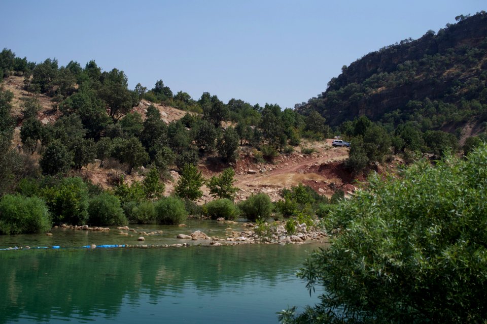 Swimming upstream from the Nahla Valley, a mixed Assyrian and Kurdish area in the Kurdistan Region of Iraq 18