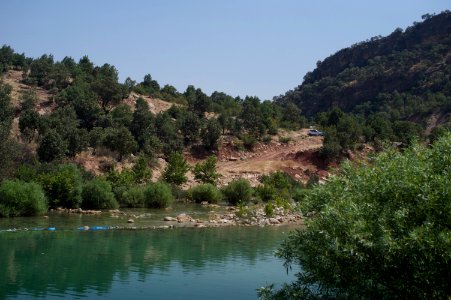 Swimming upstream from the Nahla Valley, a mixed Assyrian and Kurdish area in the Kurdistan Region of Iraq 18