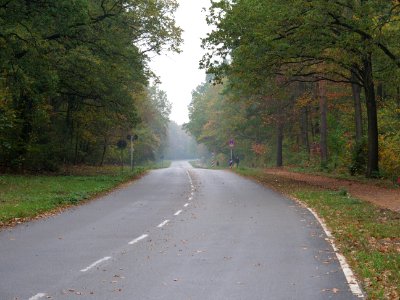 Teufelsseechaussee 2019-10-24 01