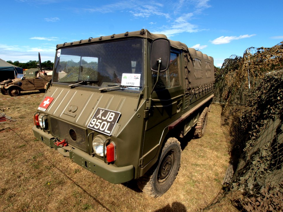 Swiss Pinzgauer pic2