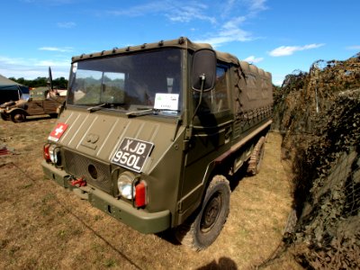 Swiss Pinzgauer pic2