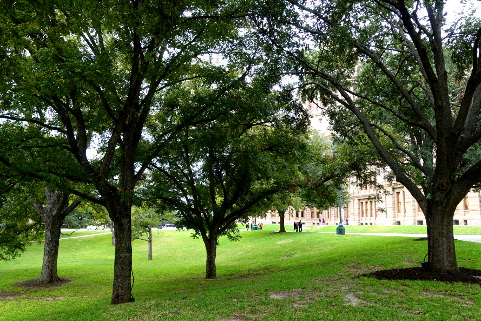 Texas State Capitol grounds - Austin, Texas - DSC07595