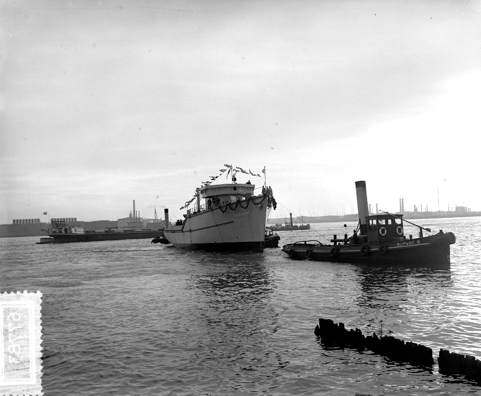 Tewaterlating Kustmijnveger Dokkum Wilton Fijenoord van Nederlandse Marine, Bestanddeelnr 906-7783
