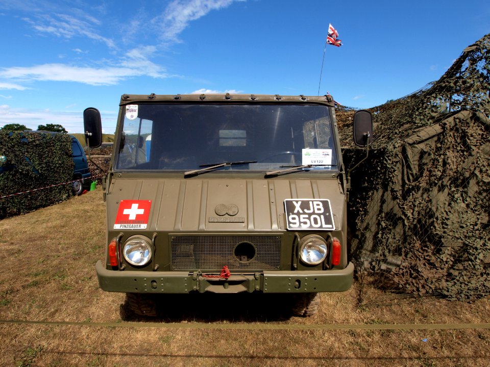 Swiss Pinzgauer pic1