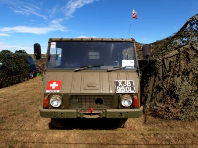 Swiss Pinzgauer pic1
