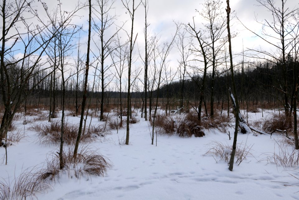 Teufelsbruch with snow 2021-02-10 45
