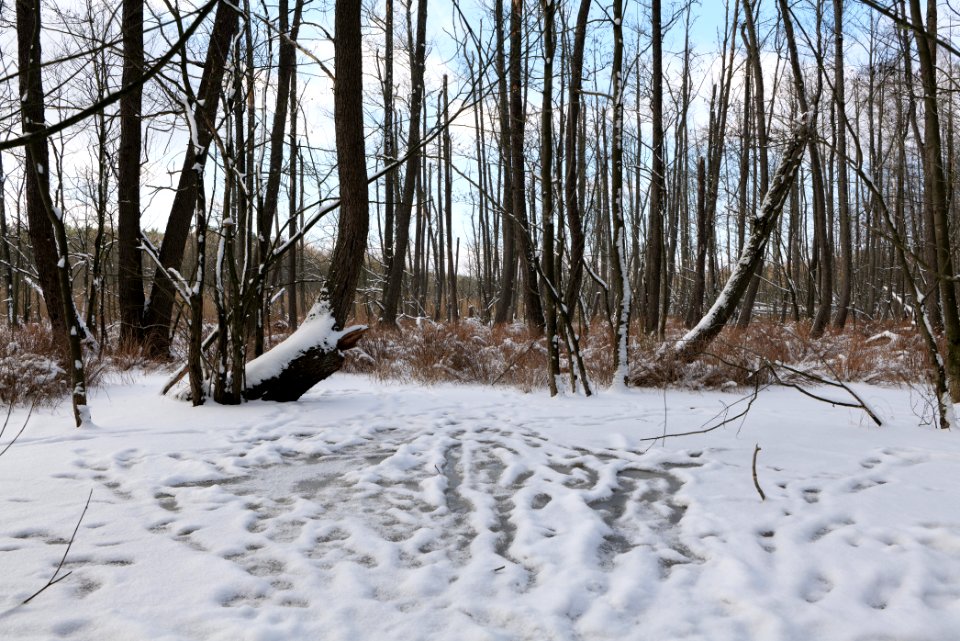 Teufelsbruch with snow 2021-02-10 63