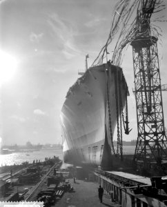 Tewaterlating Koelschip Mungo NDSM, Bestanddeelnr 910-8237