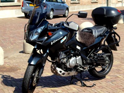 Suzuki DL65 V-Strom pic1