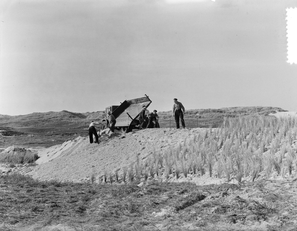 Texel dijkje bij Den Hoorn, Bestanddeelnr 904-8026