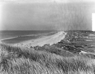 Texel dijkje bij Den Hoorn, Bestanddeelnr 904-8027
