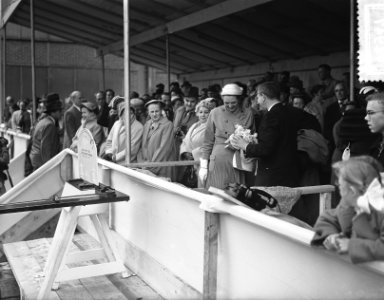 Tewaterlating Kara, Bestanddeelnr 907-1947