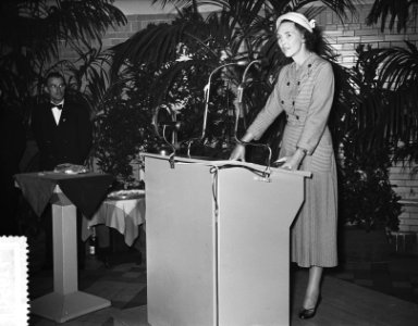 Tewaterlating Kara, Bestanddeelnr 907-1950