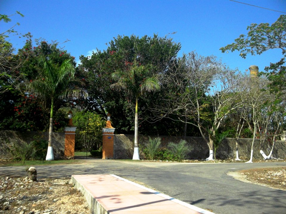 Texán Cámara, Yucatán (03)