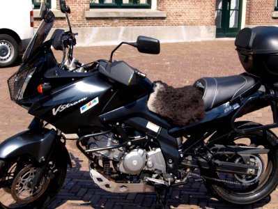 Suzuki DL65 V-Strom pic2