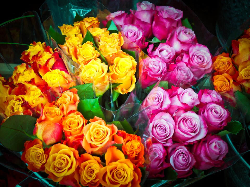 Floral arrangement valentine's day color