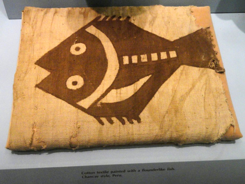 Textile, cotton, painted with flounderlike fish, Chancay style - Peruvian fabric in the American Museum of Natural History - DSC06103
