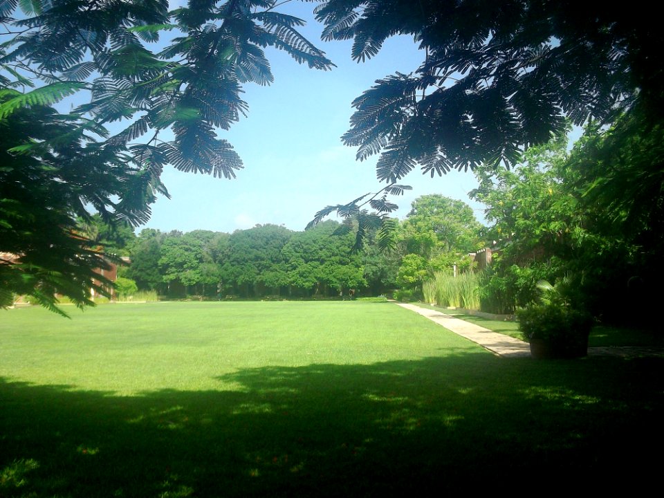 Texán de Palomeque, Yucatán (04)