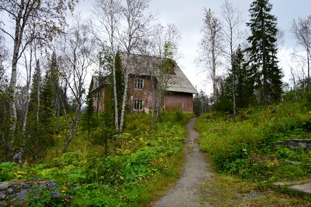 Mountains sorrow forest