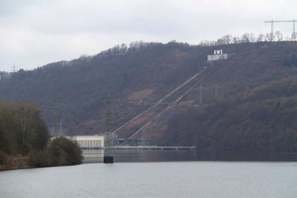 Syberg 2012-03-11-6023