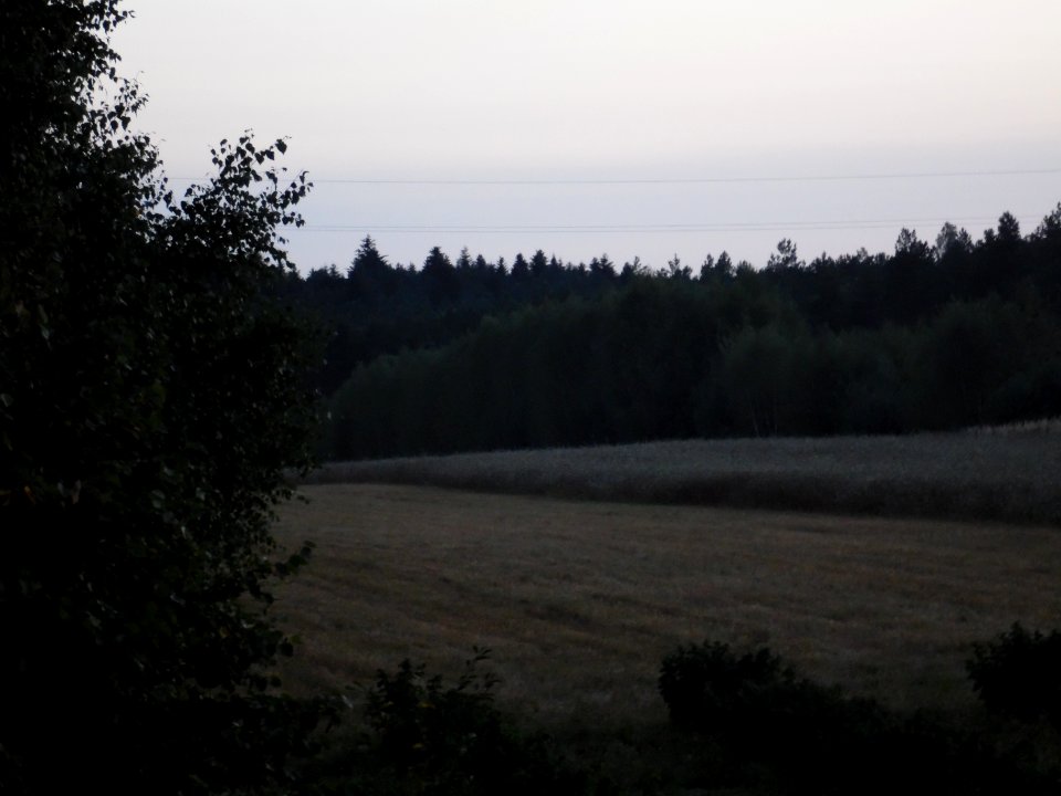 SYBIR cz.wsi PASIEKI, woj.lubelskie. AB-030