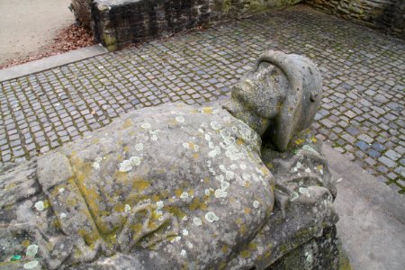 Syberg 2012-03-11-6092