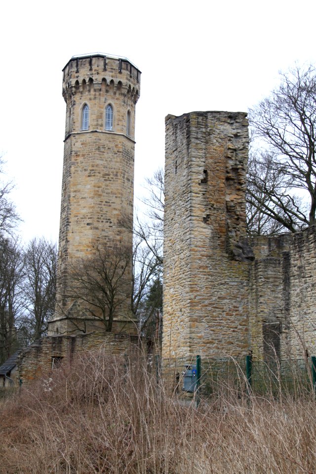 Syberg 2012-03-11-6107