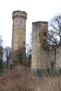 Syberg 2012-03-11-6107