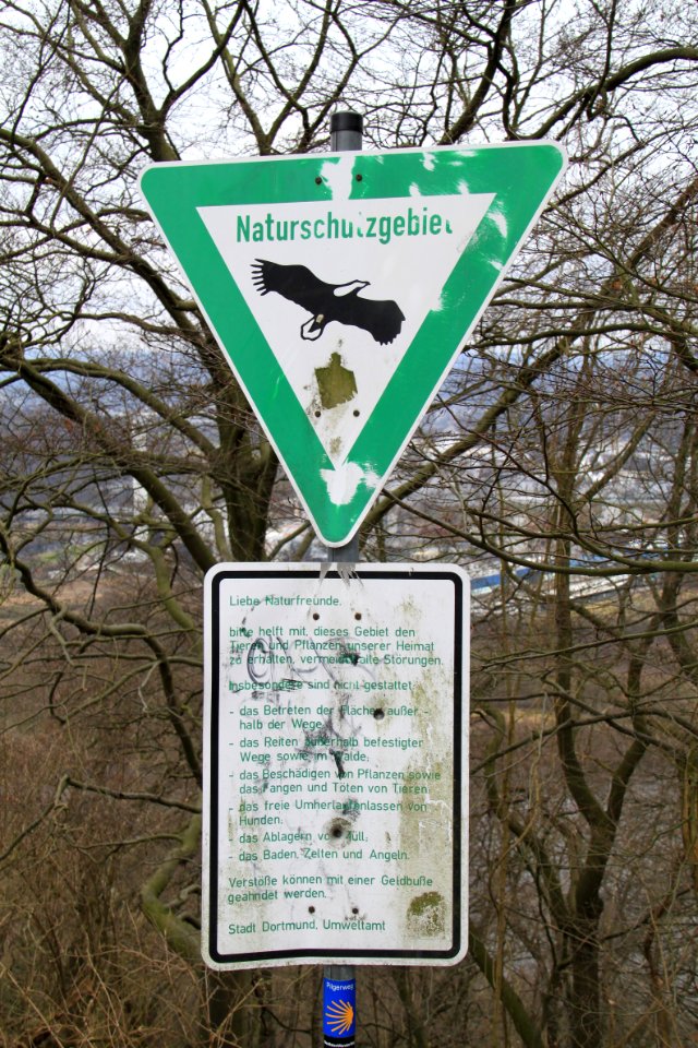 Syberg 2012-03-11-6200
