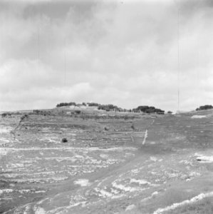 Terrassen op een heuvel het dorp op de top is vermoedelijk Abu Ghosh, Bestanddeelnr 255-0877