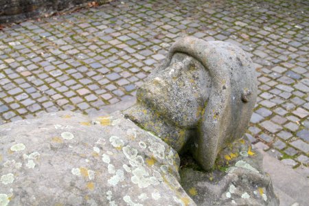 Syberg 2012-03-11-6093