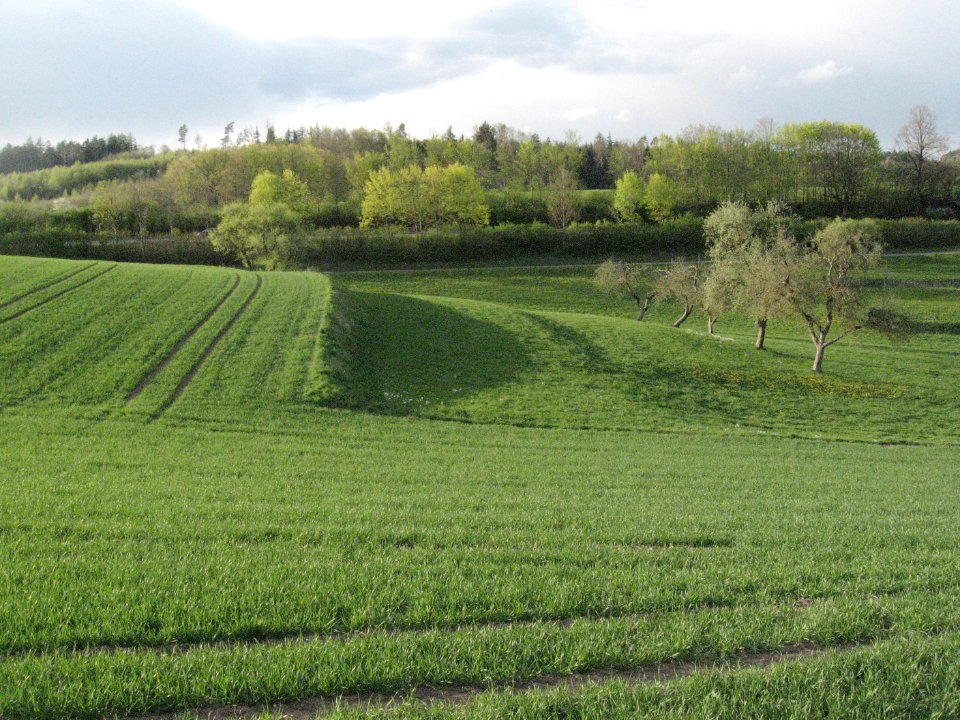 Terrassierungen am Rand der Ebene über der Corbula-Bank W Markertshofens