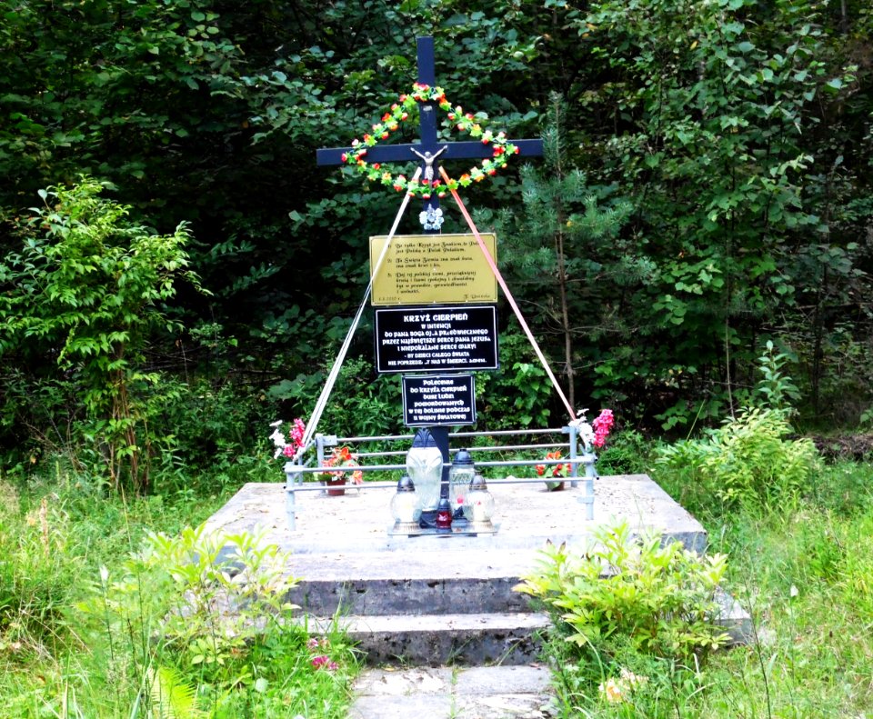SYBIR cz.wsi PASIEKI, woj.lubelskie. AB-034