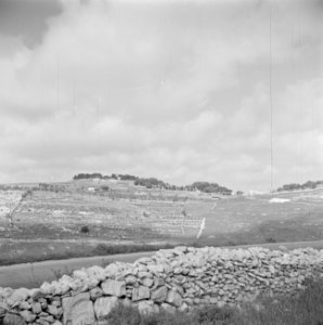 Terrassen op een heuvel, met op de voorgrond een stenen muurtje langs een weg h, Bestanddeelnr 255-0876 photo