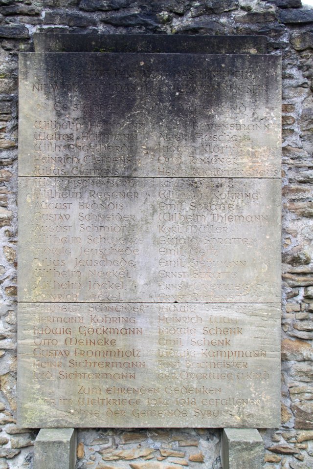 Syberg 2012-03-11-6091