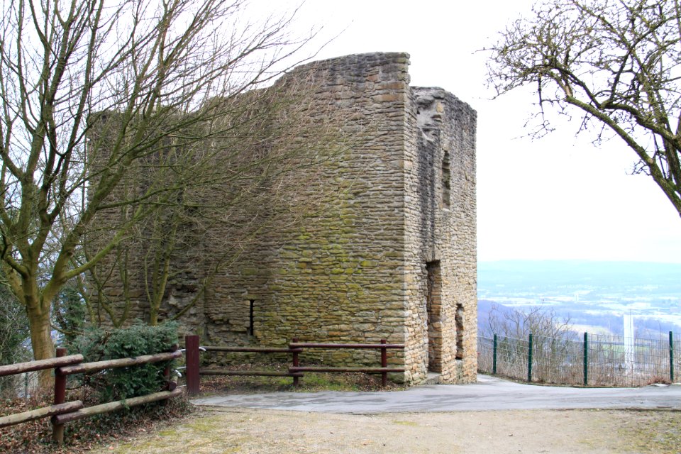Syberg 2012-03-11-6115