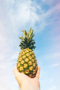 Healthy holding outdoors
