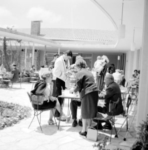 Terras van het hotel, Bestanddeelnr 255-2896