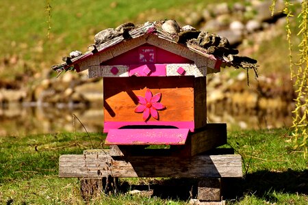 Wood colorful wildpark poing