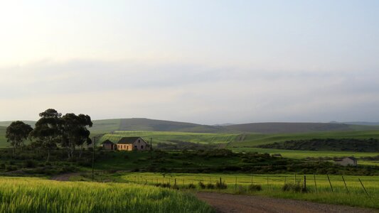 Rural nature sky