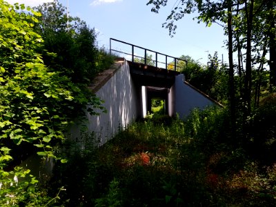 Szymocice PKP 12