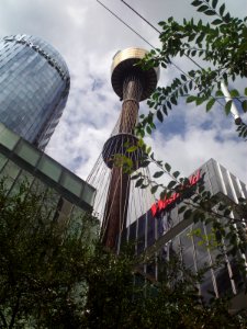 Sydney tower from below