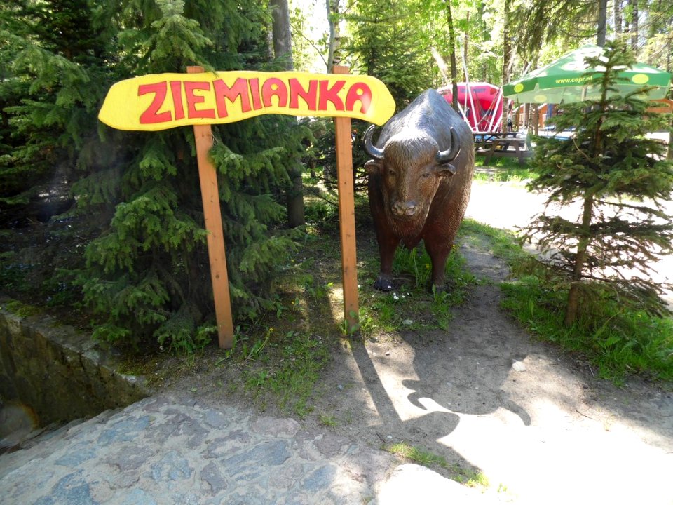 SZYMBARK (woj.pomorskie), AB - 078