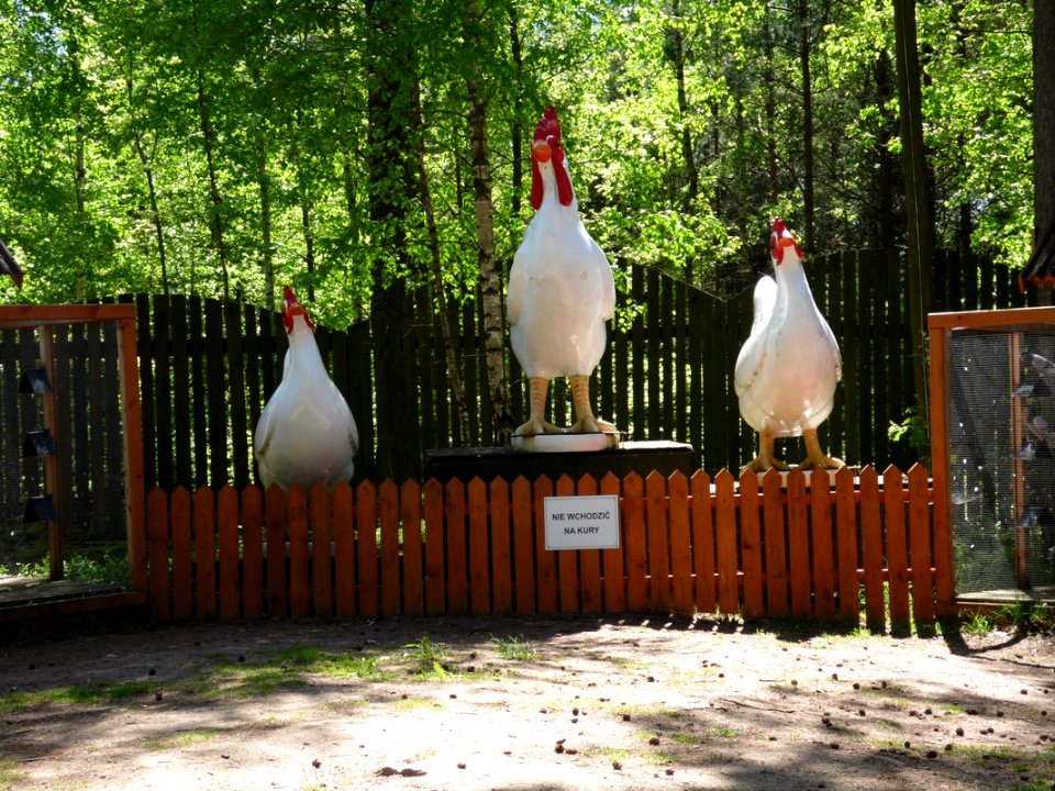 SZYMBARK (woj.pomorskie), AB - 076