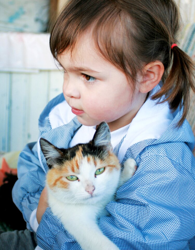 Child animal hug photo