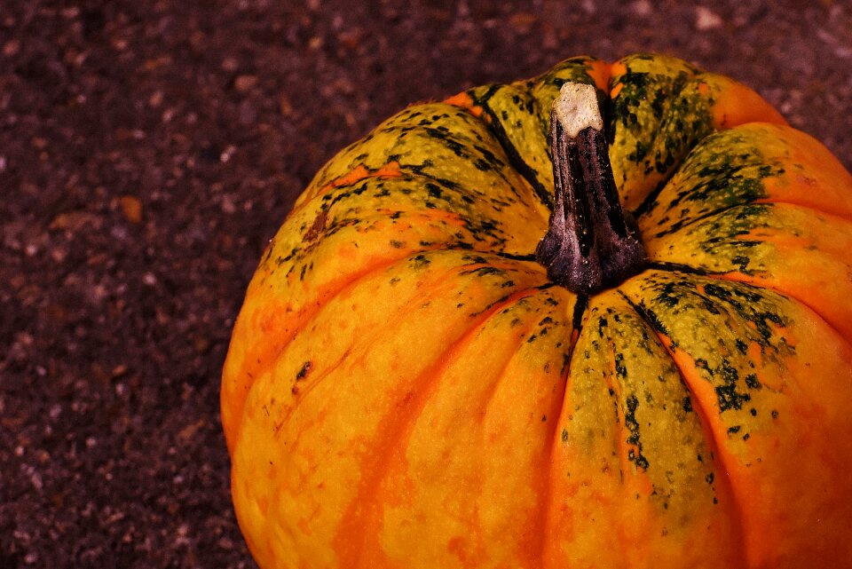 Autumn decoration colorful