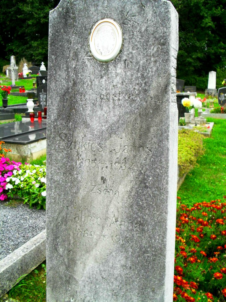 Szukics-Labric grave, Martinje