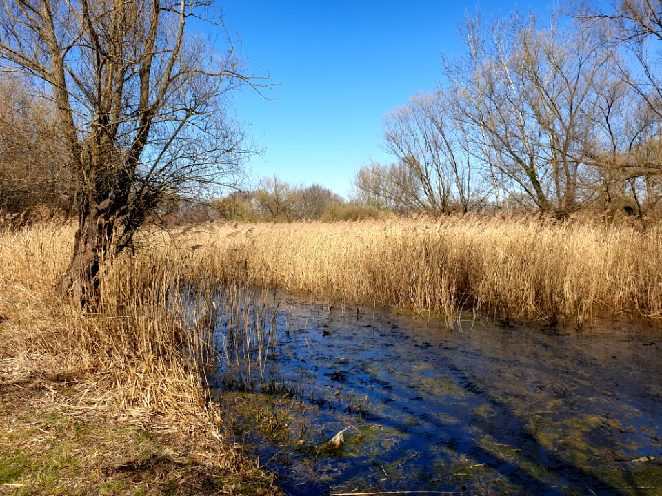 Szilas lake 2021-03-21